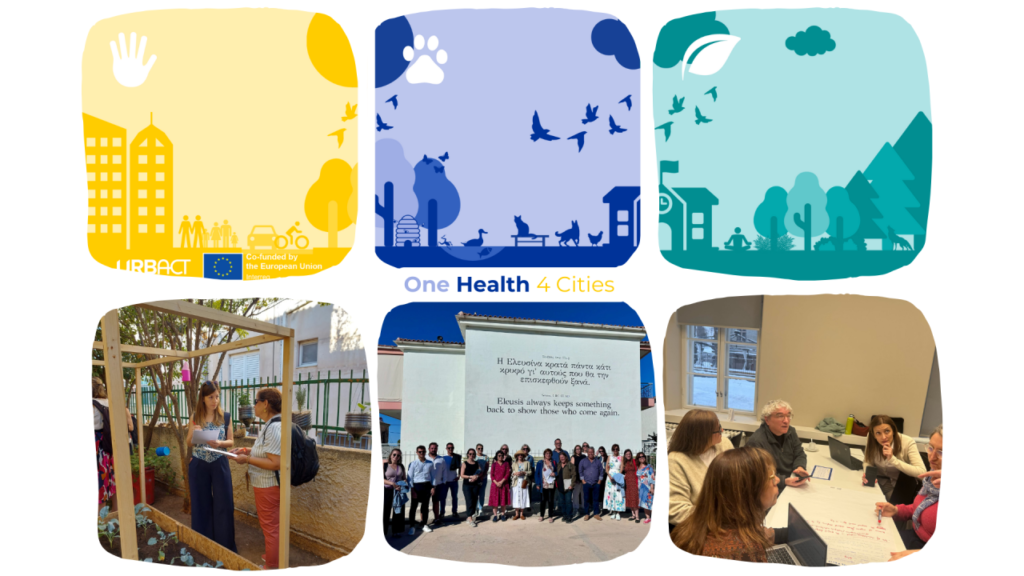 One Health in cities: what we’ve learned (and what comes next) - Bax